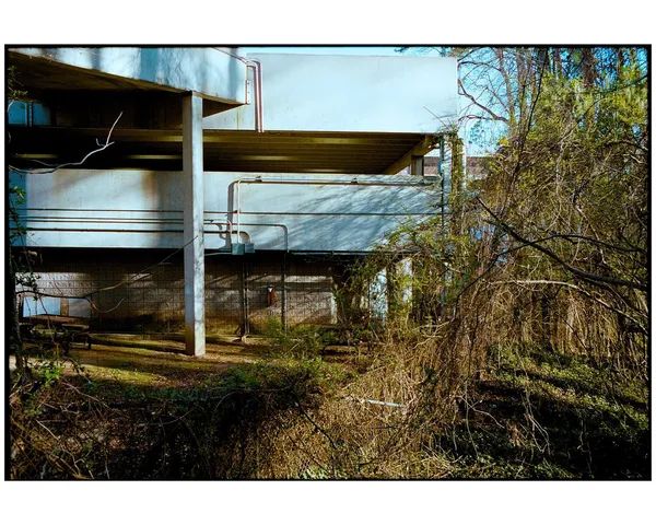 An overgrown concrete structure at the edge of the woods.